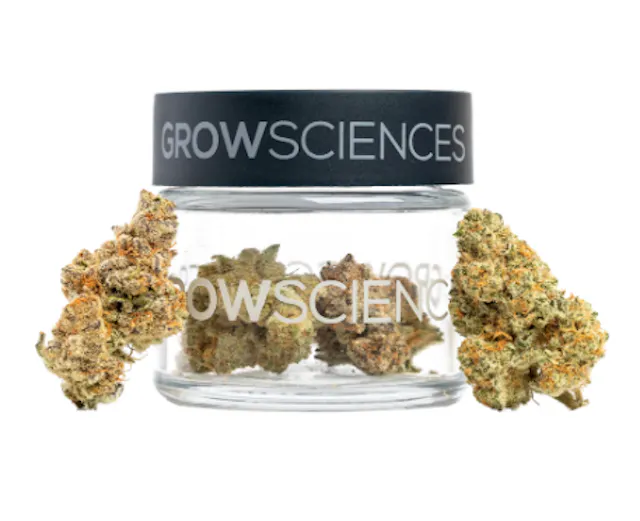 Grow Sciences Flower Dante 3.5g (indica, whole flower)