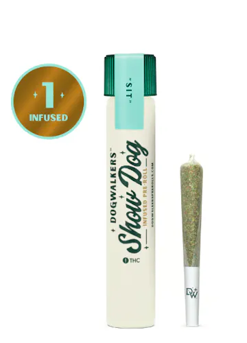 Brownie Scout Big Show Dog | 1g-1