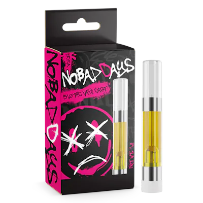 bd vape rayden 100 v2 The Bleau Buddha II Smoke Shop (@bleaubuddhakendall) · Miami, FL