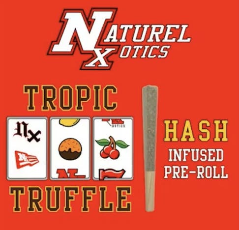 Product Hash Infused Preroll | Tropic Truffle (H) Naturel Xotics