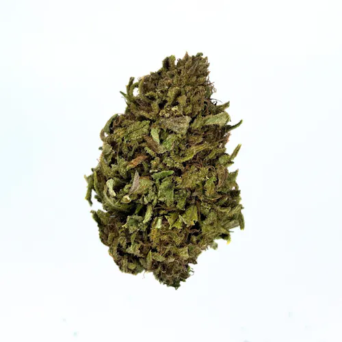 Orange Cream Pop Sungrown-active