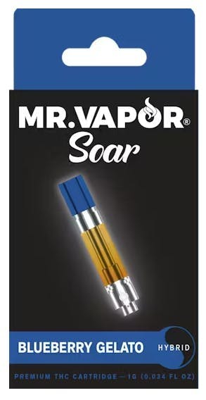 MR. VAPOR MR. VAPOR | BLUEBERRY GELATO | CART HYBRID — VAPORIZERS