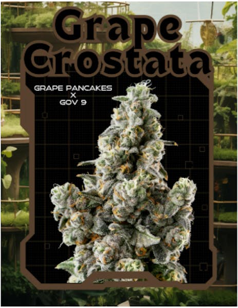 Grape Crostata (I) - 3.5g Flower - Realm
