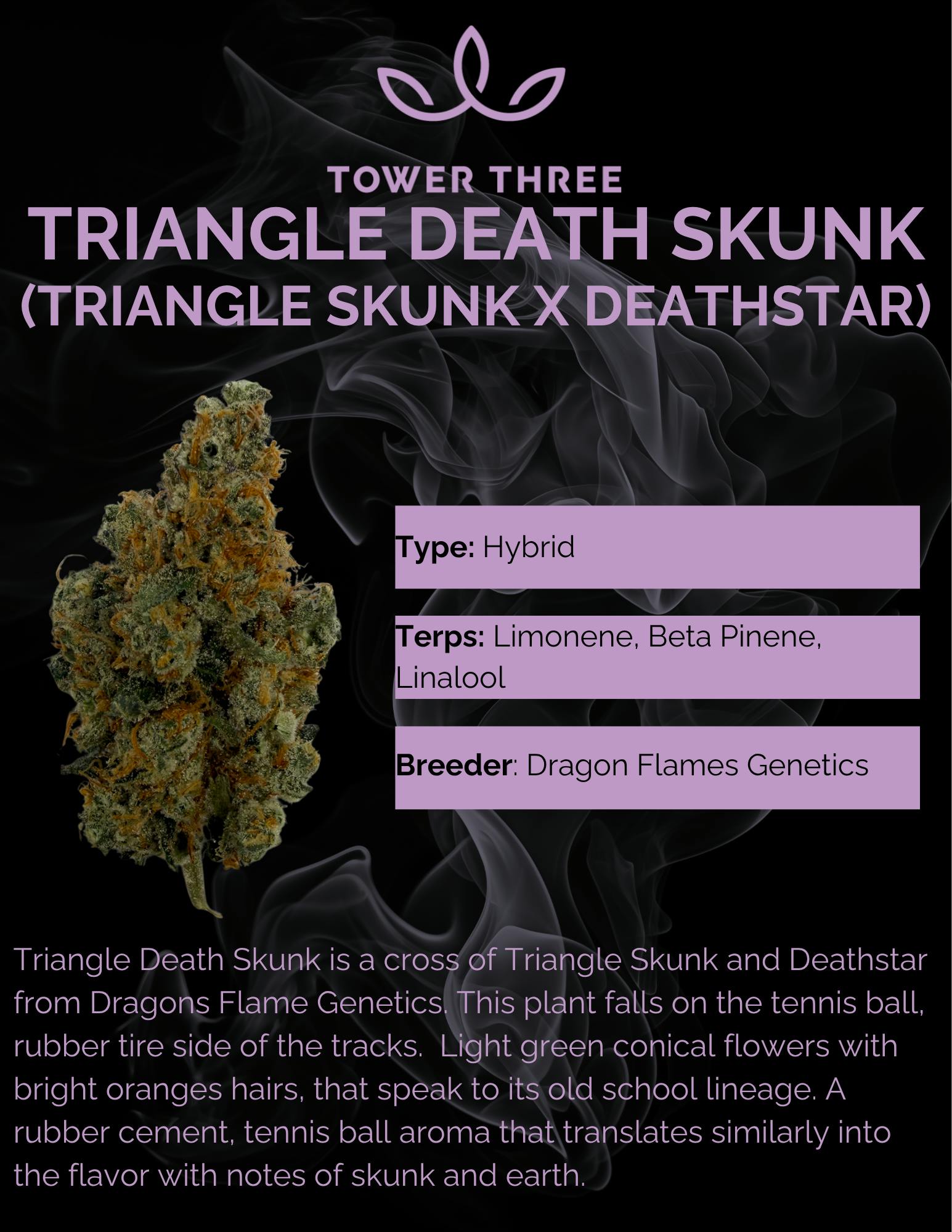 Triangle Death Skunk
