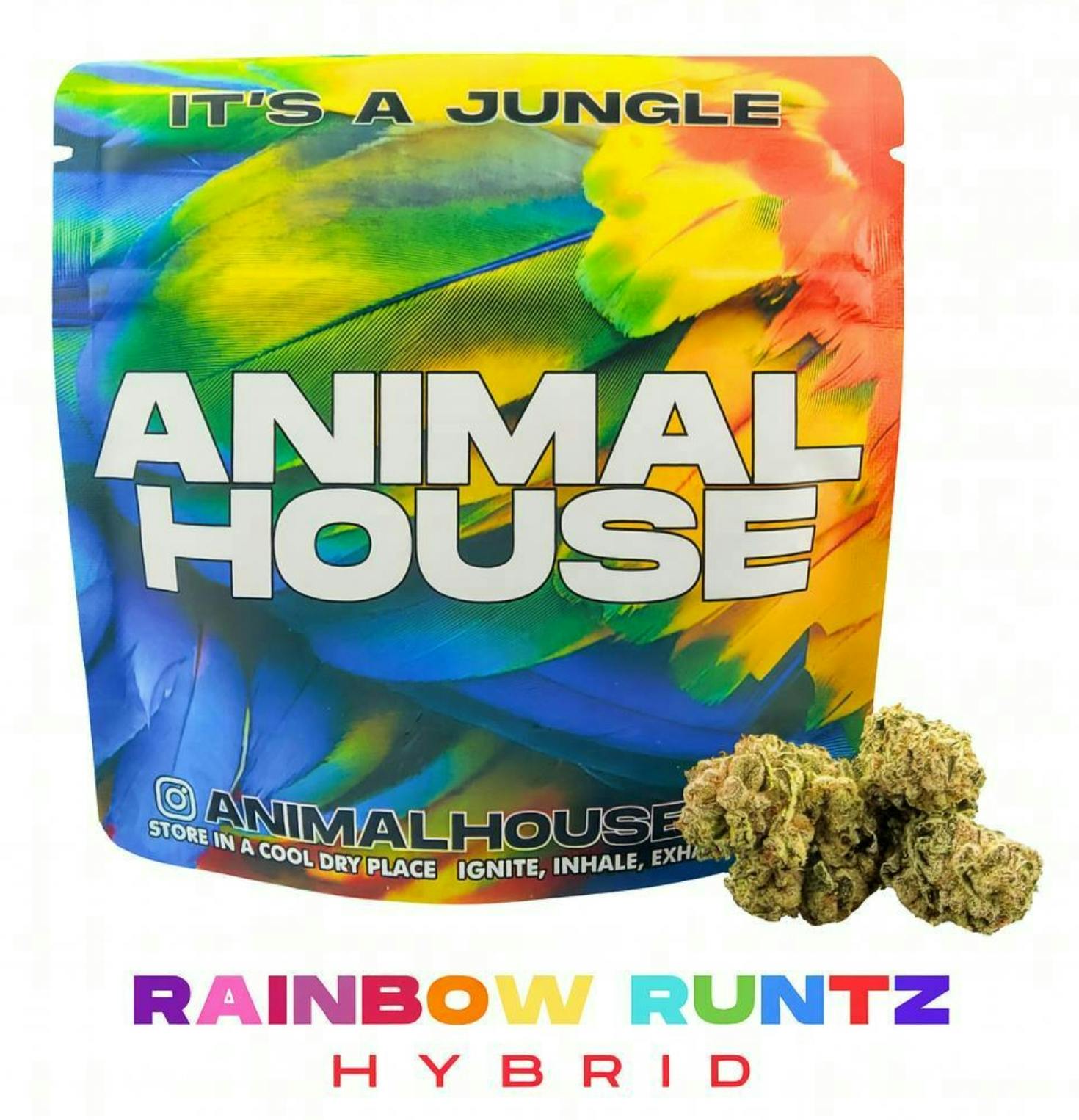 Animal House | Rainbow Runtz | 14g