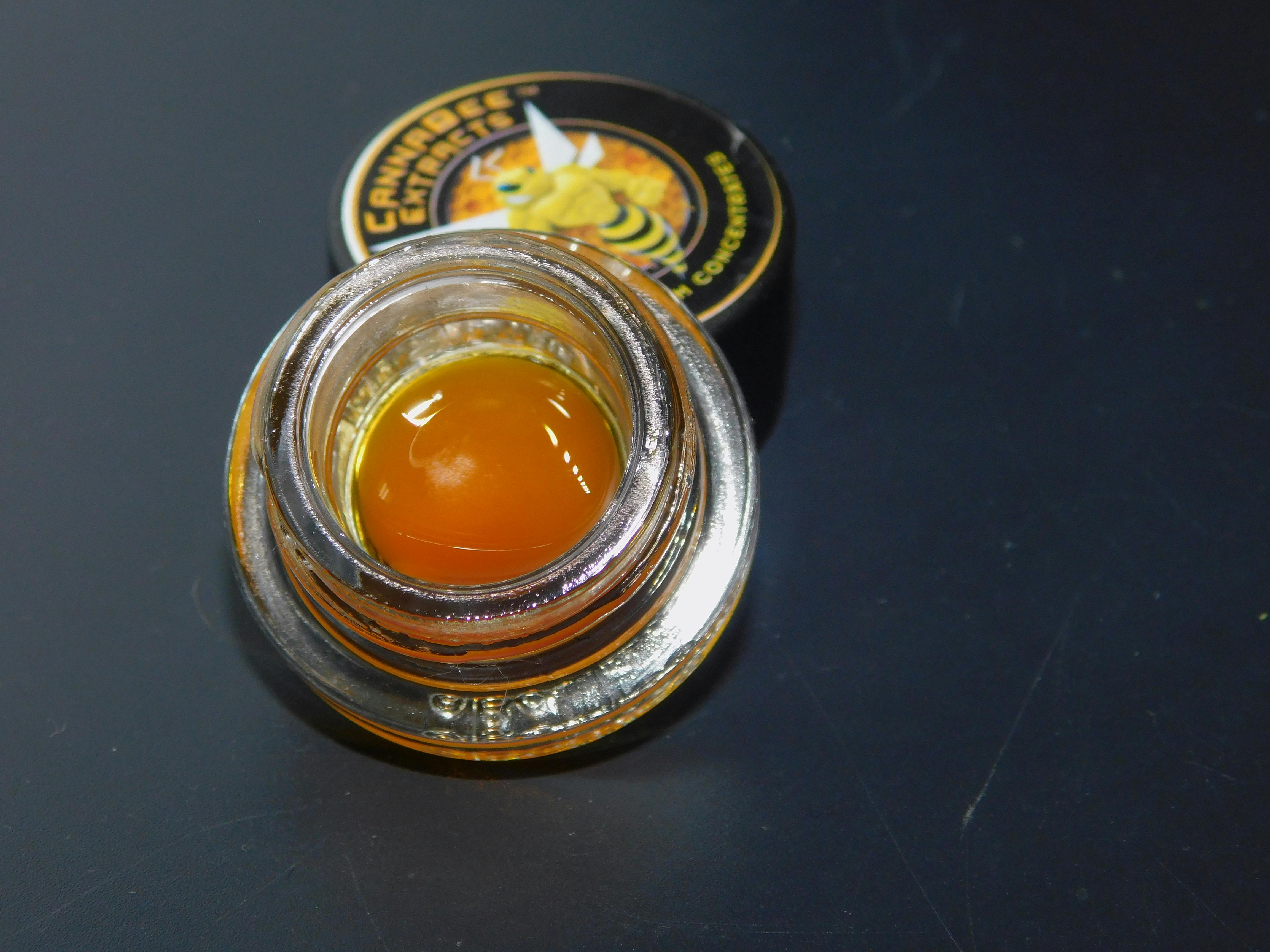 de70738db0f14b477ef42bee68432481?auto=format&fit=fill&fill=solid&fillColor=fff&ixlib=react-9.0