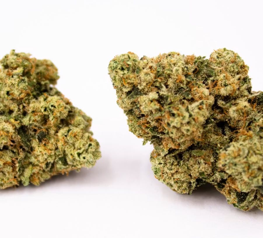 Product: GNG | Motorbreath #15 | Flower (Shake)