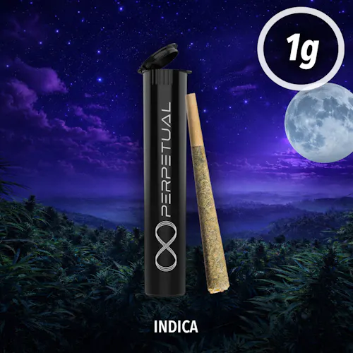 White Ice (I) – (1g) Pre-Rolled Cone-1