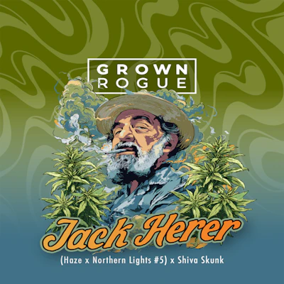 DELI - Grown Rogue - Jack Herer - FLOWER by Grown Rogue at King of Budz