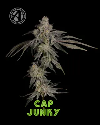 Jungle Drops - RSO 1:1:1:1:1 THC:CBD:CBG:CBN:CBC - 200mg THC