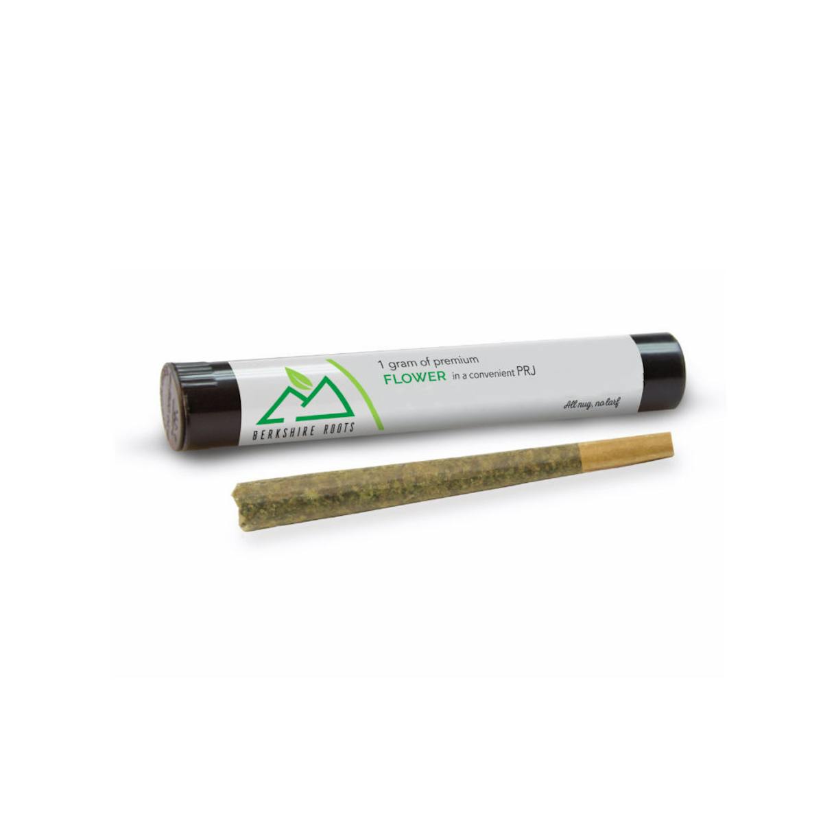 Photo of Berkshire Roots | Orange Chemeleon | Pre Roll S