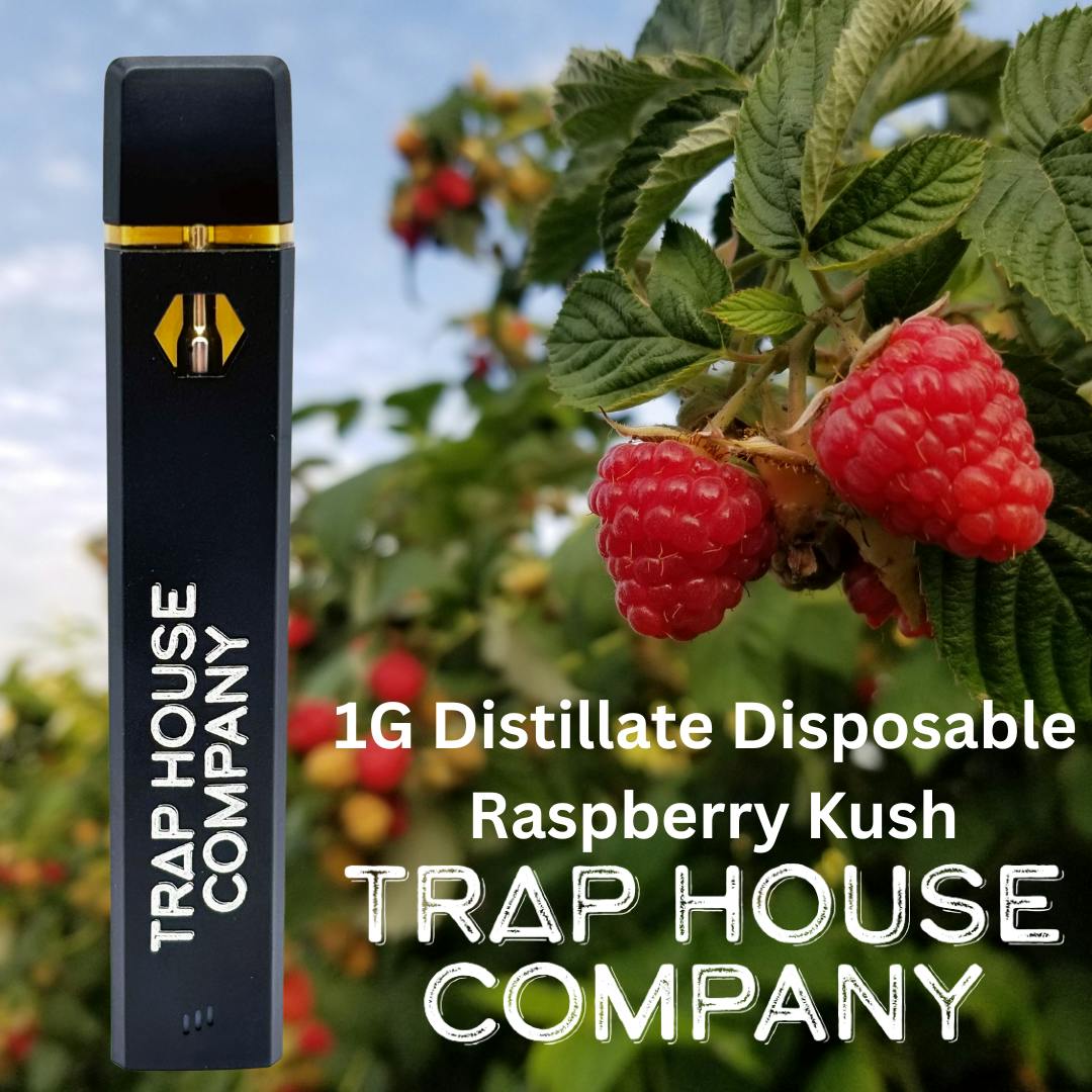 1g | Raspberry Kush | Disposable Vape | Local Roots Cannabis - Laingsburg