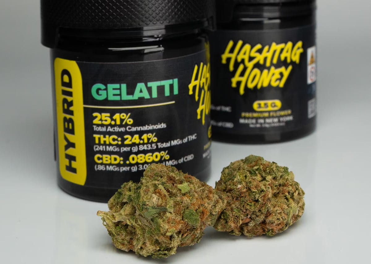 Photo of Hashtag Honey – Gelatti 3.5g