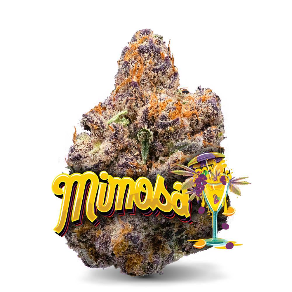 Mimosa⭐︎ Mimosa All-In-One Vape Pen | Hybrid Strain | ASCND | Kurvana