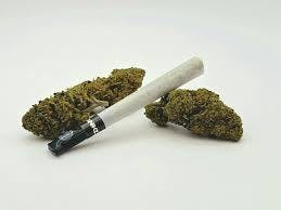 Photo of Outrankd | Tropical Runtz Pre-Roll | 1g Hash Infused 1pk