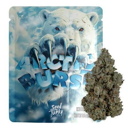 Arctic Burst Pre-Pack Indica/Hybrid by Seed Junky – Flower at Gatsby Cannabis