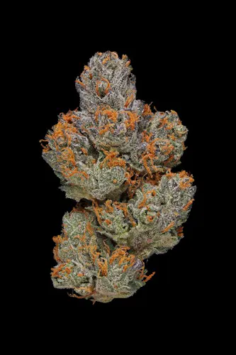 Clade9 | LA Piff | Flower | 3.5g-1