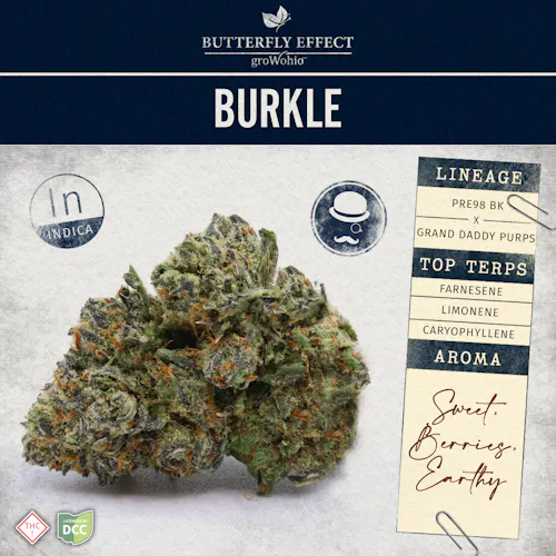 Grow Ohio | Burkle (Budlets) 14.15g | Indica-active