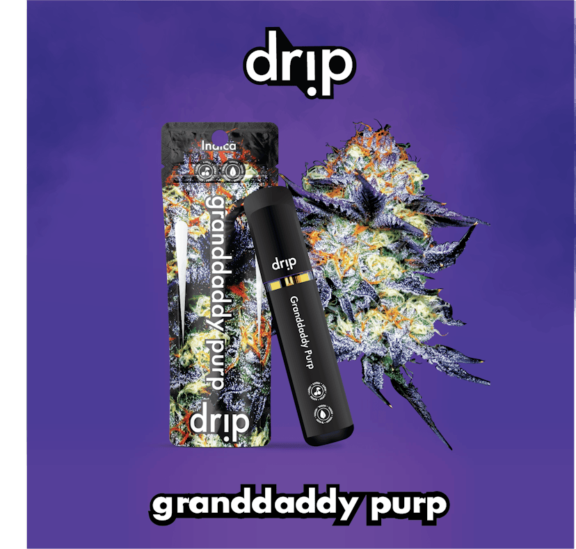 Drip | 3g Diposable | Granddaddy Purp