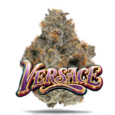 Versace - Premium, as Jungle Boys's menu shows it