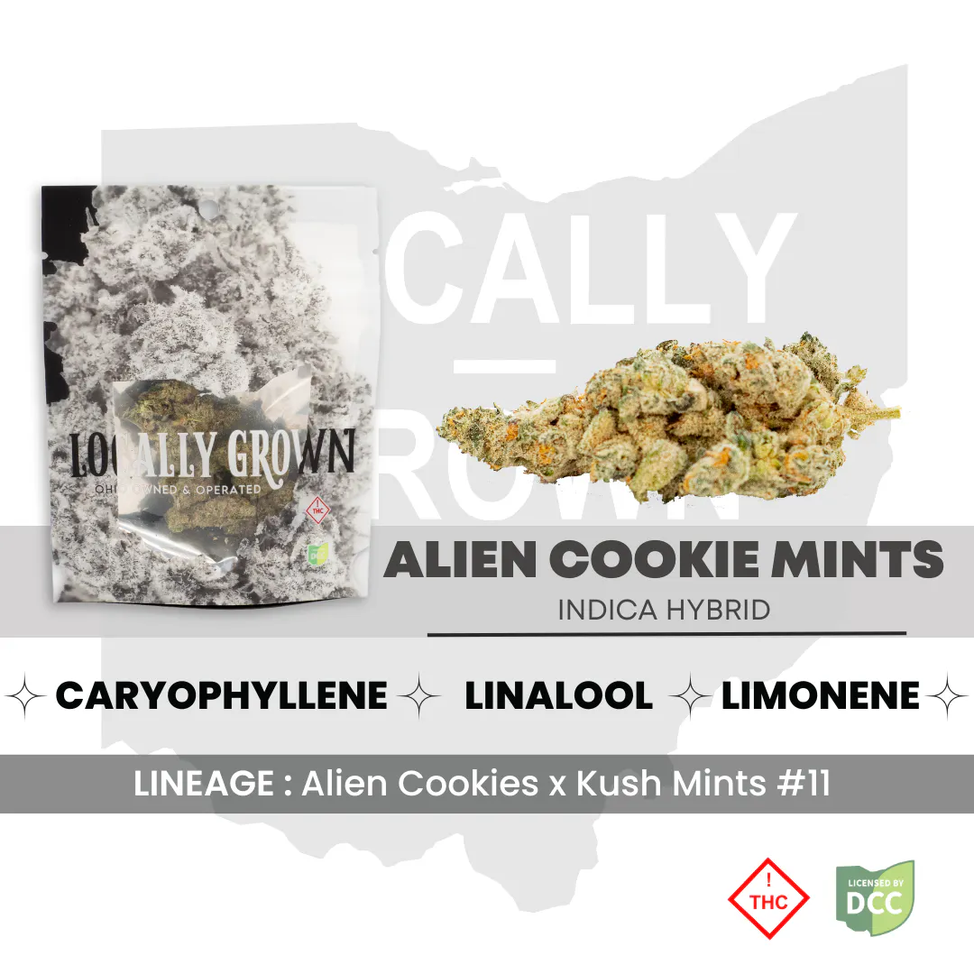 Alien Cookie Mints (Indica - Hybrid) - 2.83g | Pure Ohio Wellness
