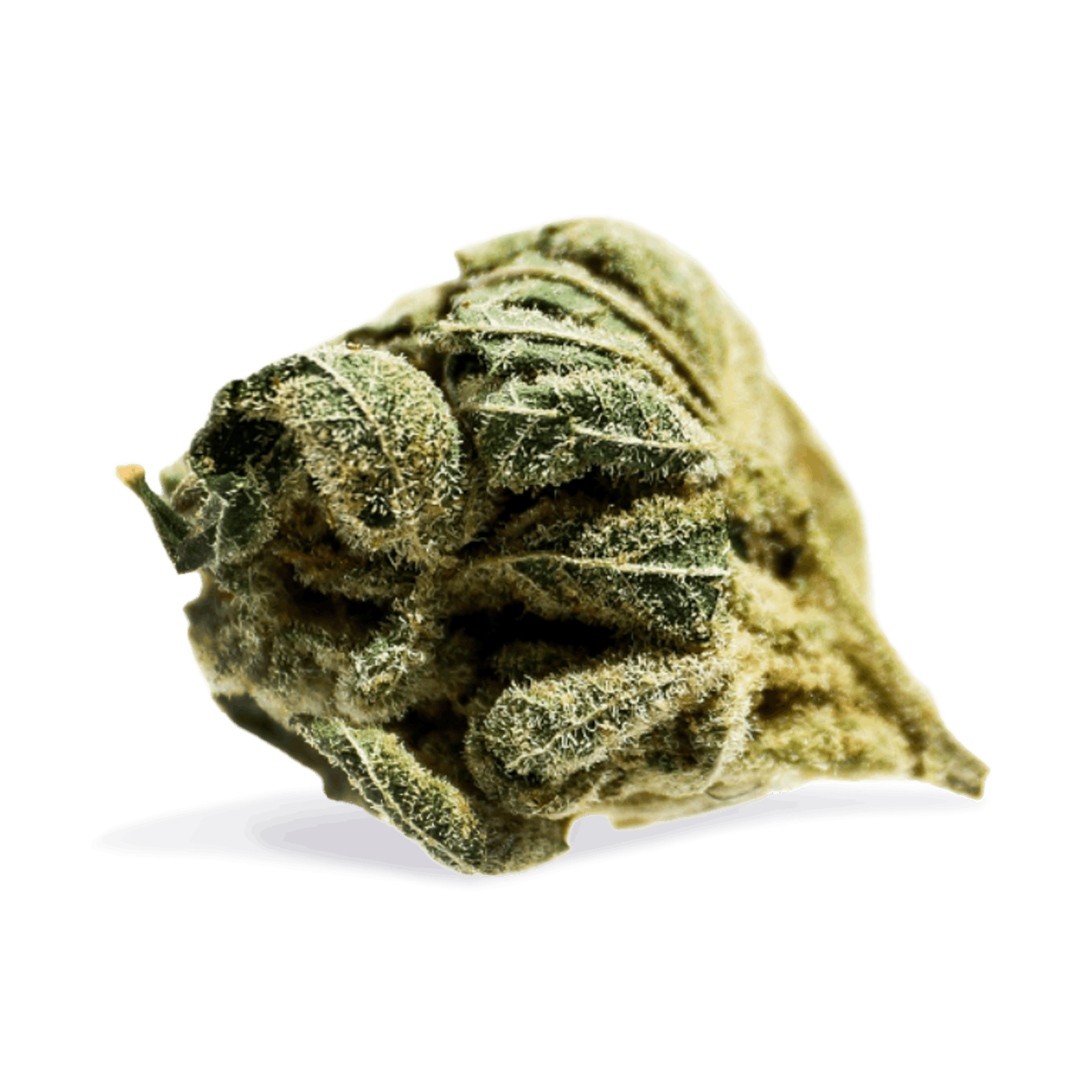 Pineapple express