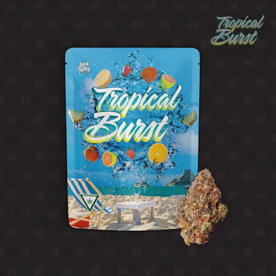 Seed Junky - 3.5g Prepack - Tropical Burst