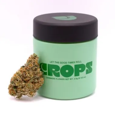 Cannabis Dispensary in Atlantic City, NJ | Open Daily