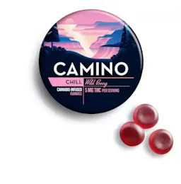 Wild Berry Gummies
