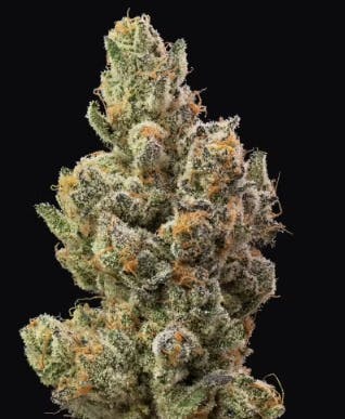 Product Gypsie Road Buds
