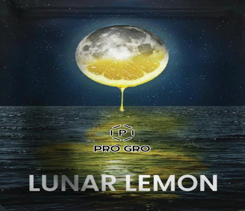 DELI - Pro Gro - Lunar Lemon