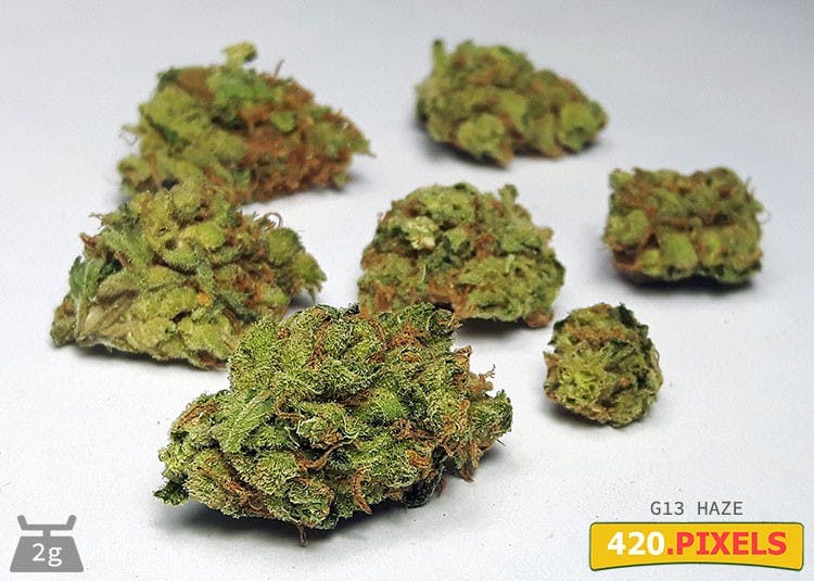 Product: Rhythm of Life | G13 Haze | Flower