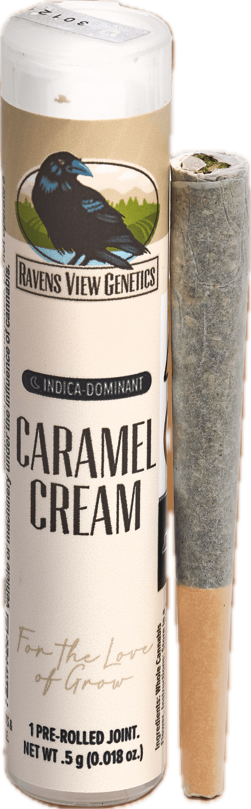 Caramel Cream | Single
