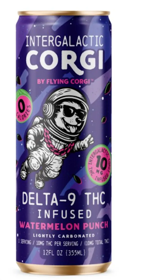 Intergalactic Corgi Seltzer Watermelon Punch 12oz/10mg (hybrid, drinks, 0.28g)