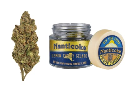 Lemon Cherry Gelato Flower | Hybrid | Nanticoke