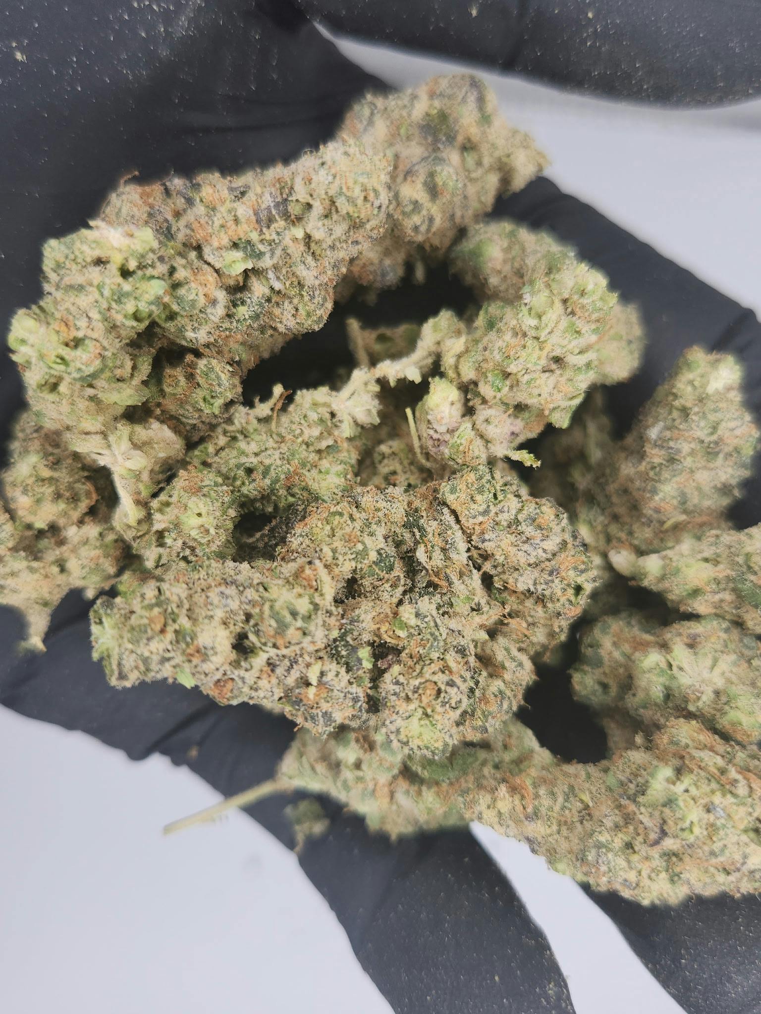 Product: Nura | Bulk Bud - Animal Mint