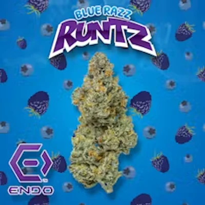 Endo - 3.5g Prepack - Blue Razz Runtz - FLOWER by Endo at King of Budz