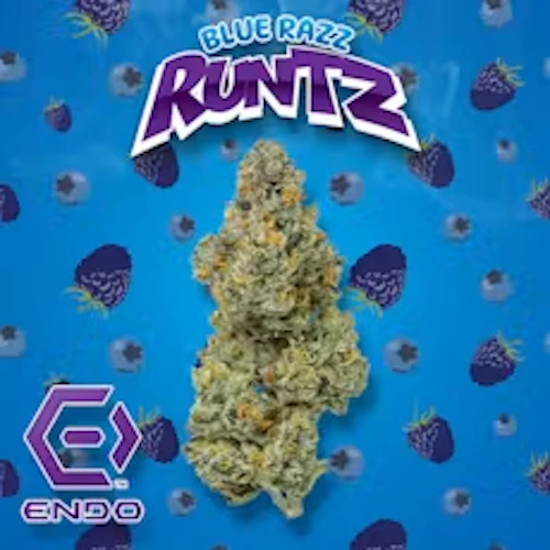 Endo - 3.5g Prepack - Blue Razz Runtz