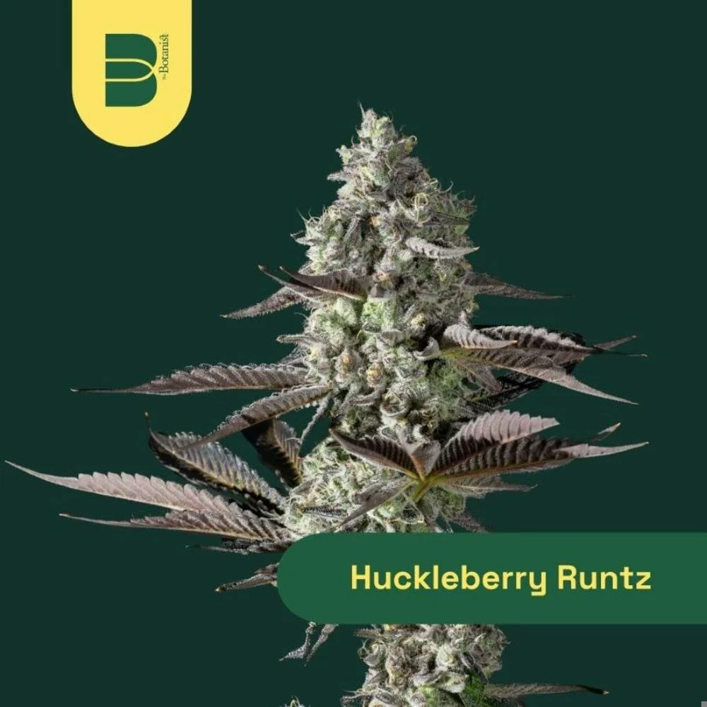 image of Huckleberry Runtz | 14g Flower