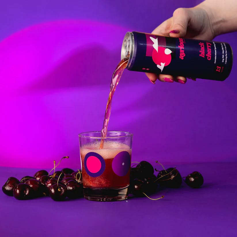 image of Black Cherry 2:1 | 10mg Seltzer