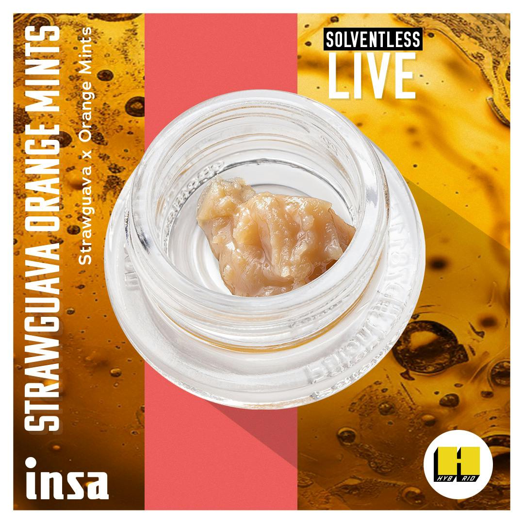 Live Rosin Cold Cure - Strawguava Orange Mints