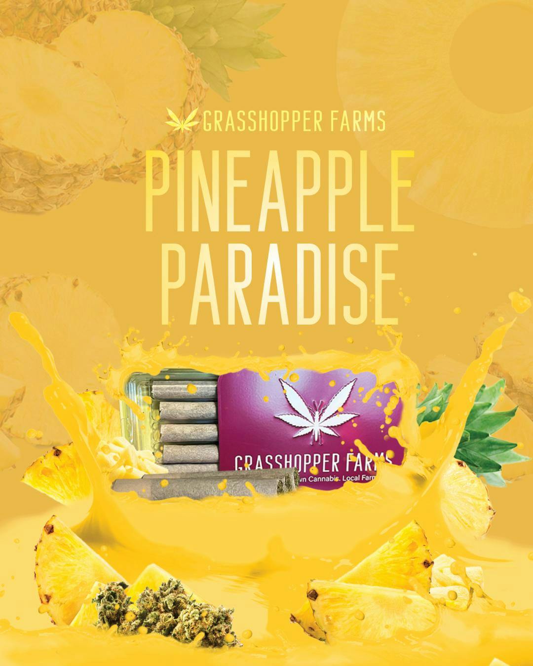 Top Pineapple and Grasshopper: Original