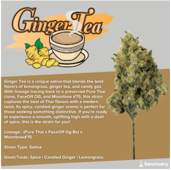 Ginger Tea | 1g | Flower | Sanctuary