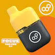 Focus MT