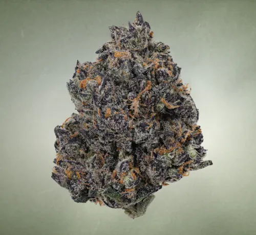 Bud Bar | Tropicana Cherry-active
