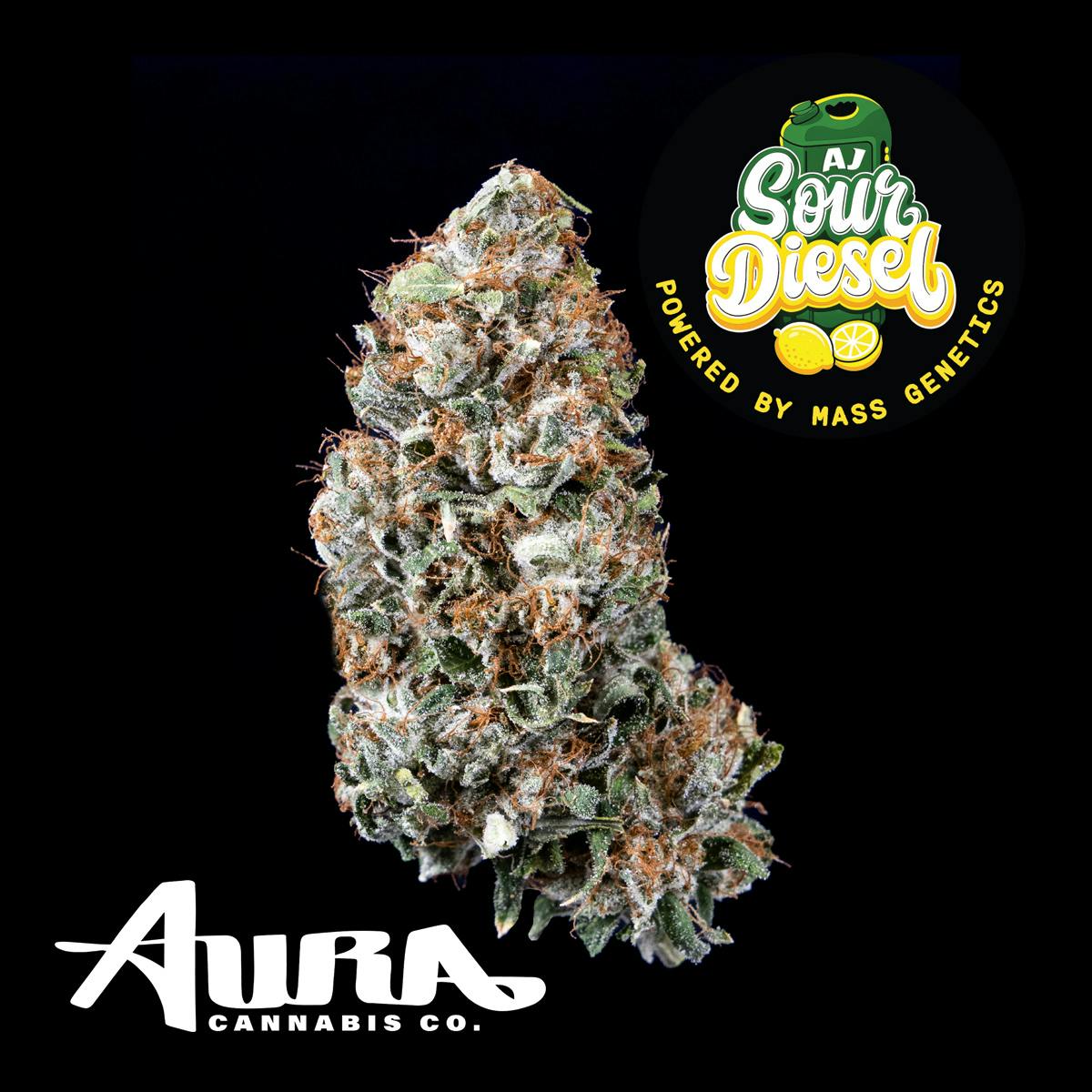 Product Aura | AJ's Sour Diesel | Flower