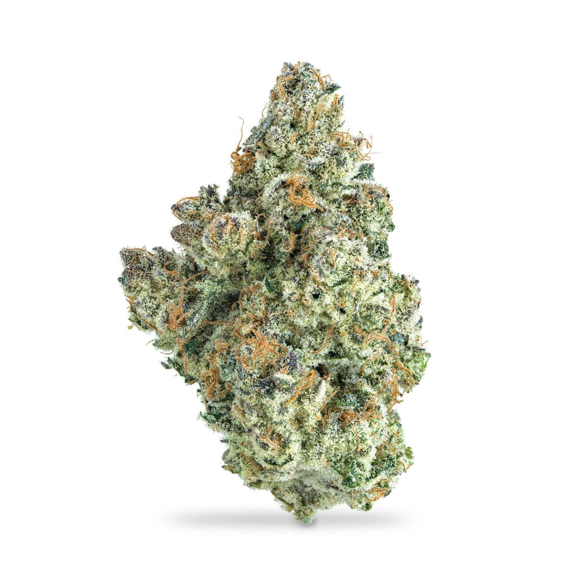 Photo of Grape Cream Cake