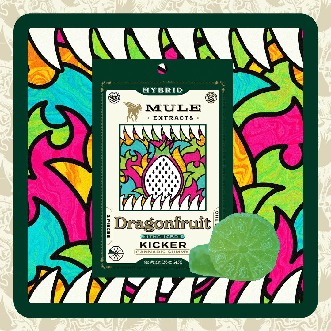 100mg 2-Piece Dragonfruit 1:1 THC:CBD Kicker (Hybrid) | Bridge