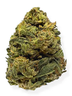 Cannabis Dispensary in Monroe, Michigan | Exclusive