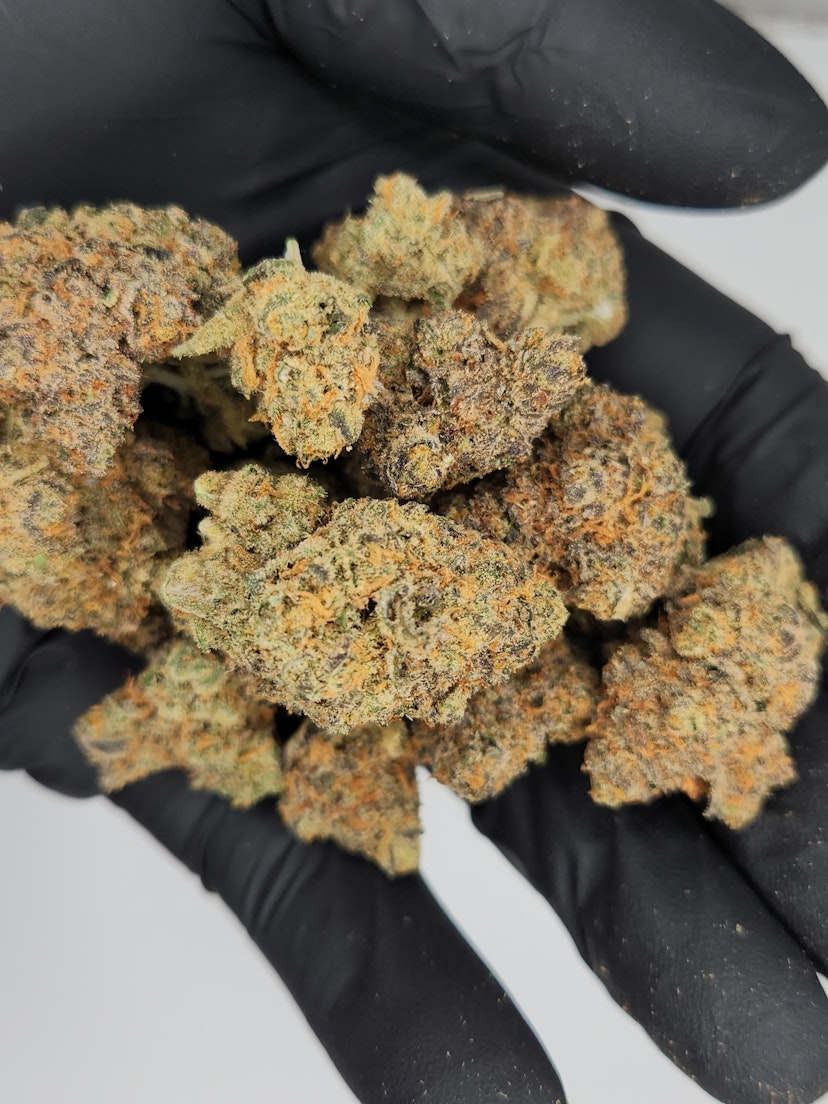 Glo | Bulk Bud - London Loud Cake